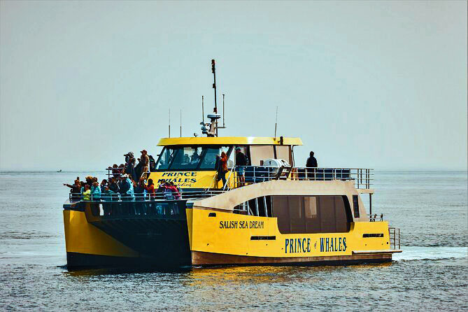 Half Day Whale Watching Adventure from Vancouver